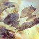 Illustration for article titled The Megastructures Where Youll Live in Space